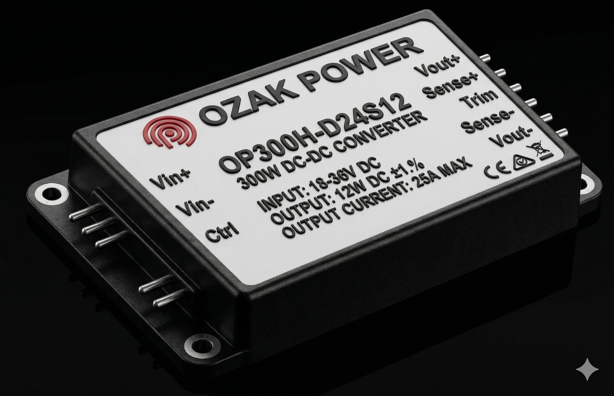 300 Watt